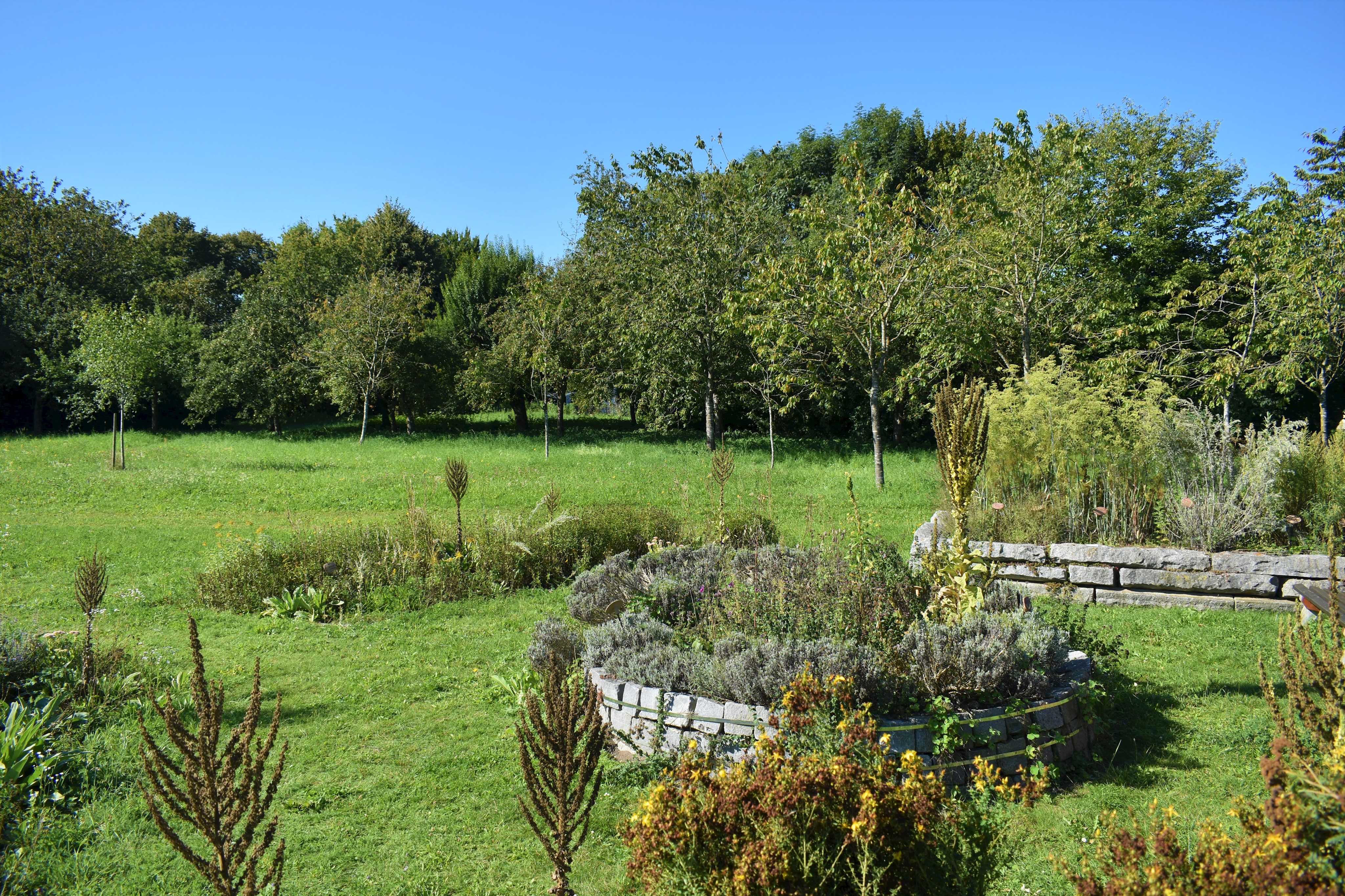 Der Kräutergarten am Ostanger