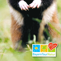 © BayernTourNatur 2020